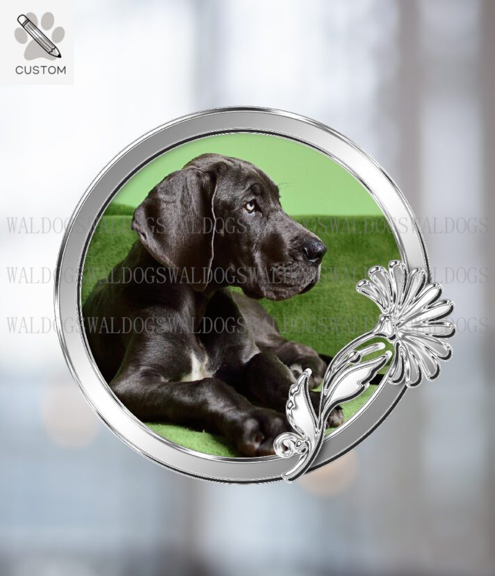 Hopeakukka Custom Tarra