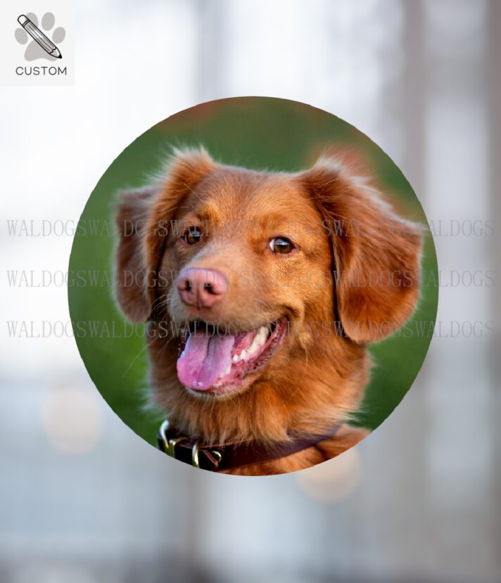 Tarra Omasta Kuvasta Pyöreä