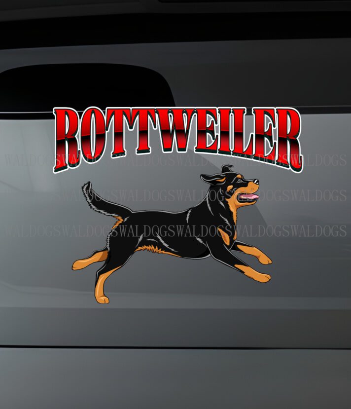 Rottweiler Red