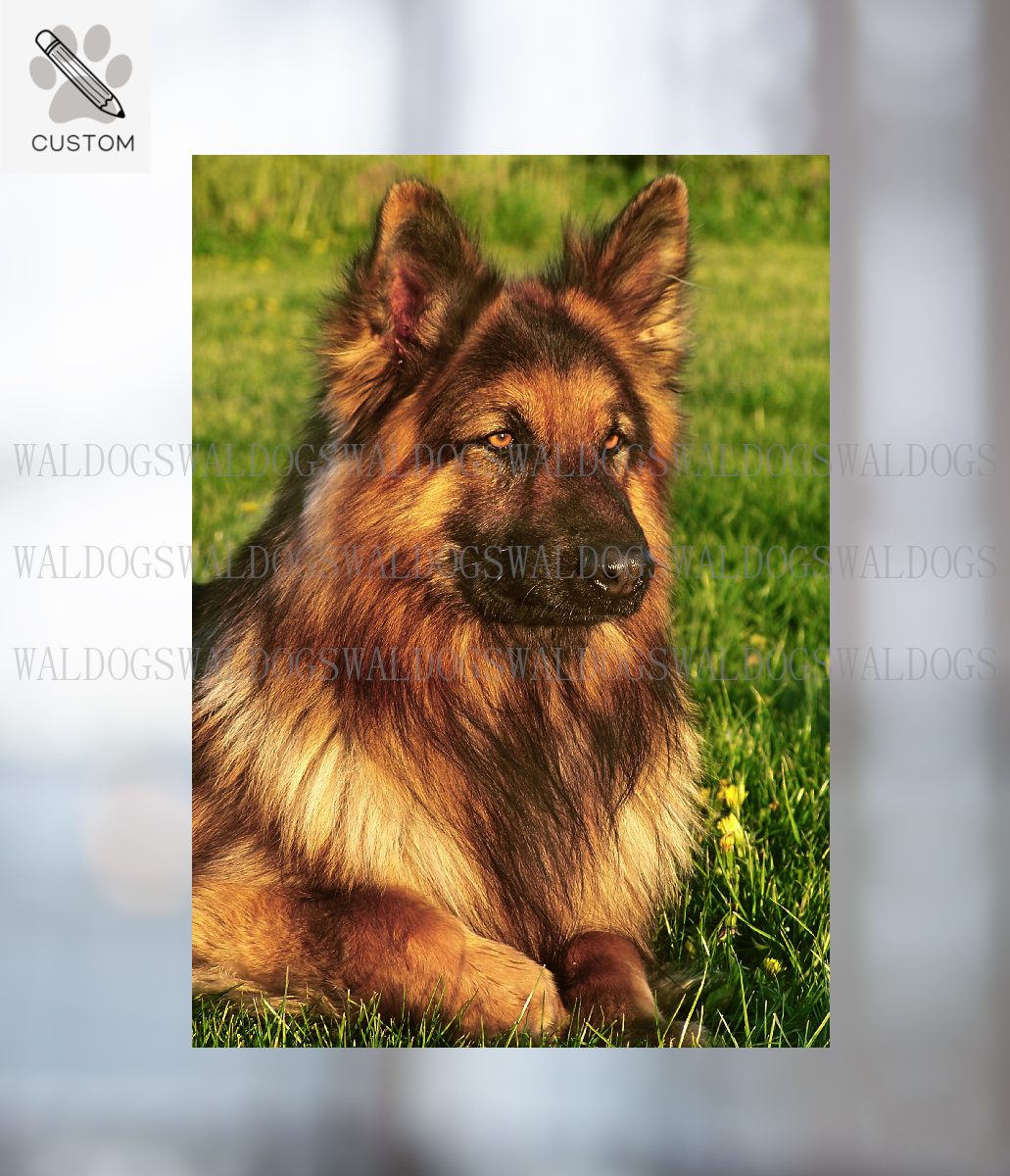 Tarra Omasta Kuvasta