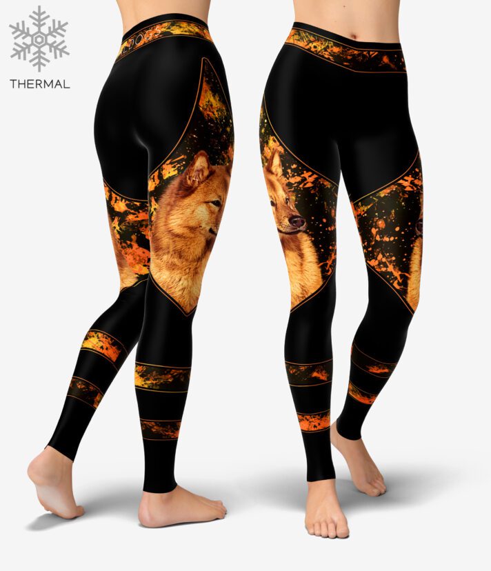 Finnish Spitz Chaos Thermal