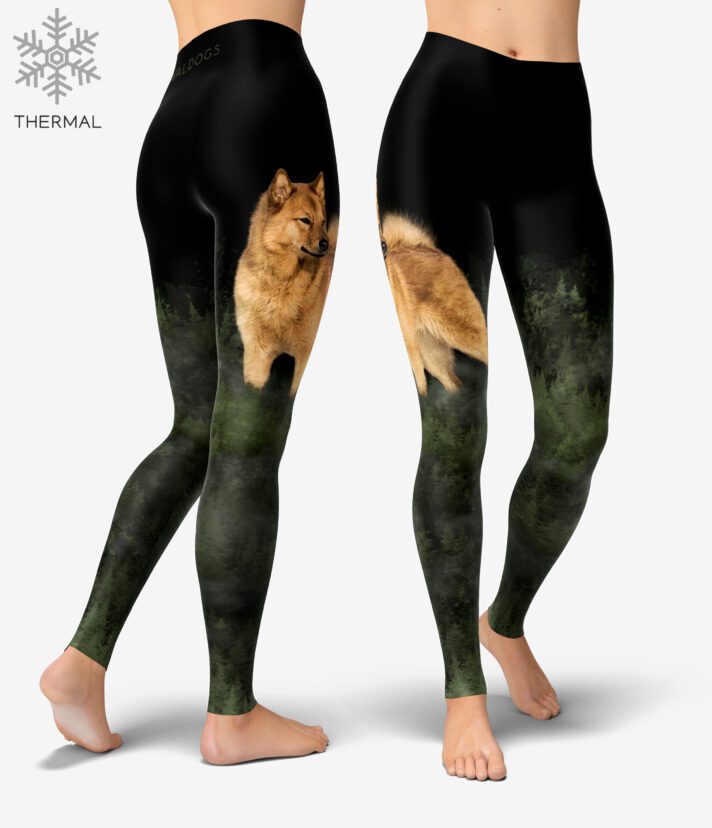 Finnish Spitz Forest Thermal