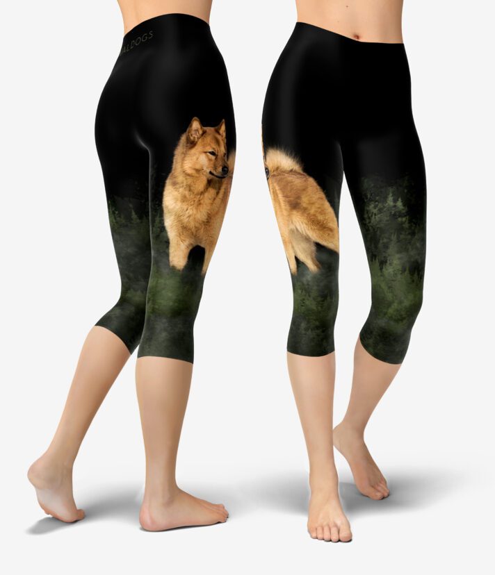 Finnish Spitz Forest Urheilucaprit