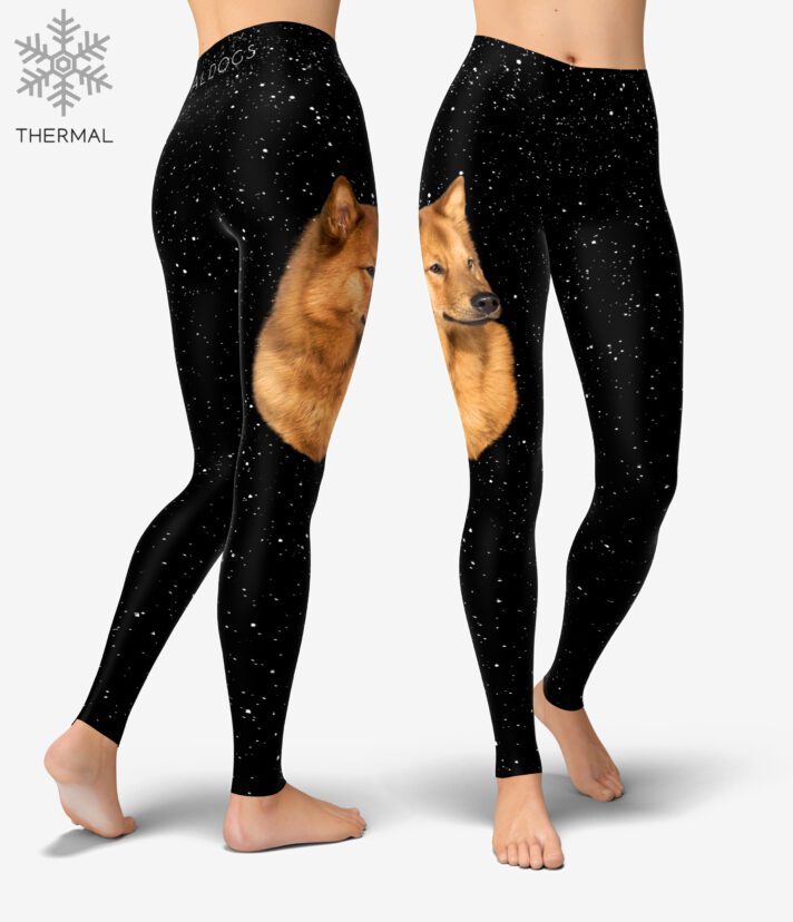 Finnish Spitz Stars Thermal