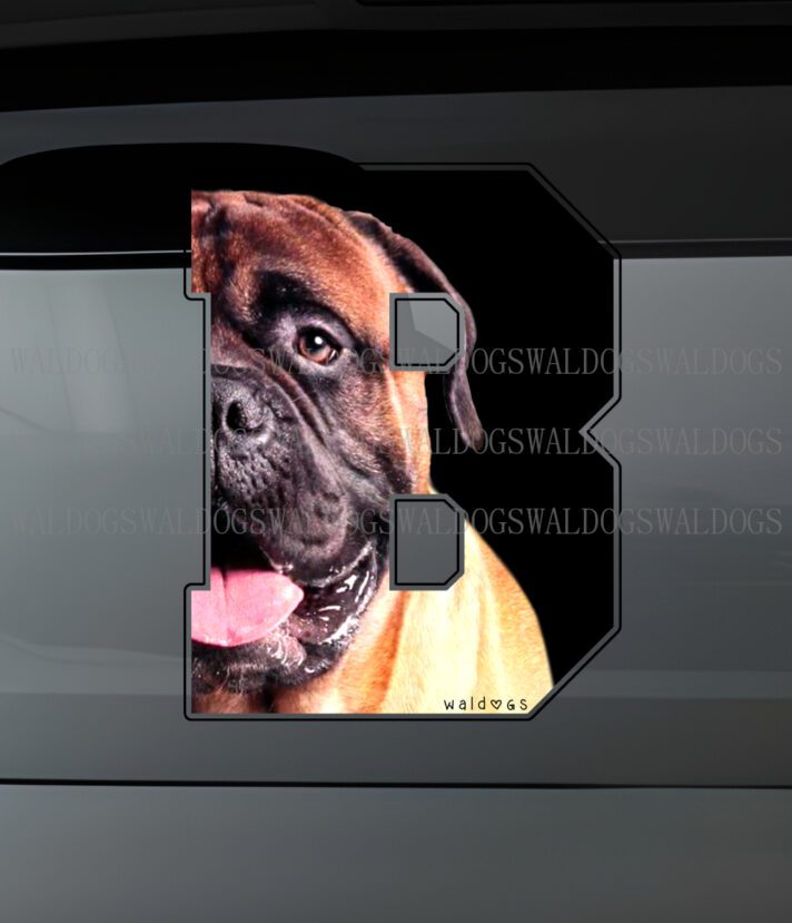 Bullmastiff B Black Tarra