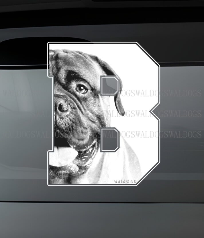 Bullmastiff B II Tarra