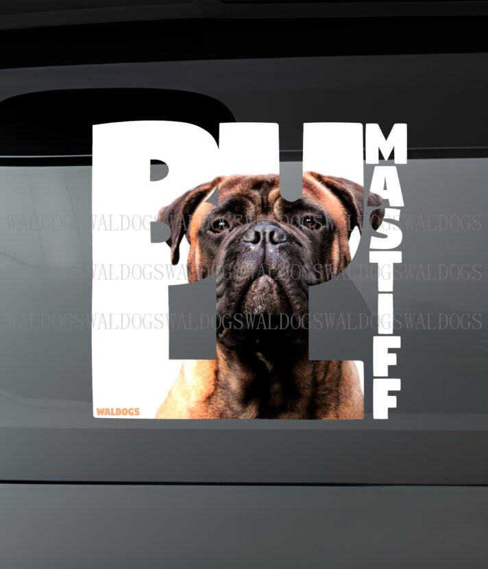Bullmastiff Nassu Tarra