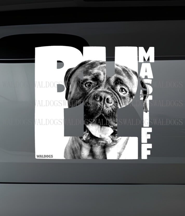 Bullmastiff Nassu II Tarra