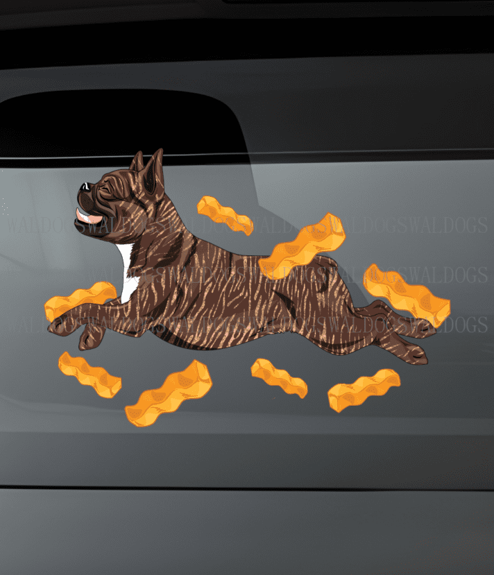 Frenchfry Frenchie IV Tarra