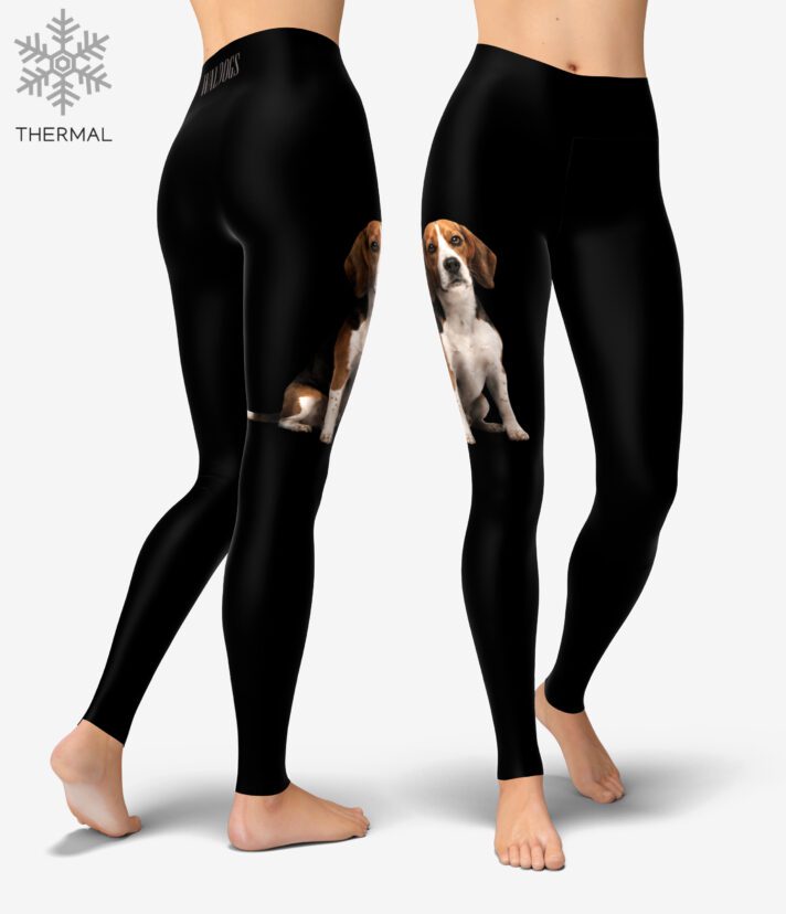 Beagle Black Thermal