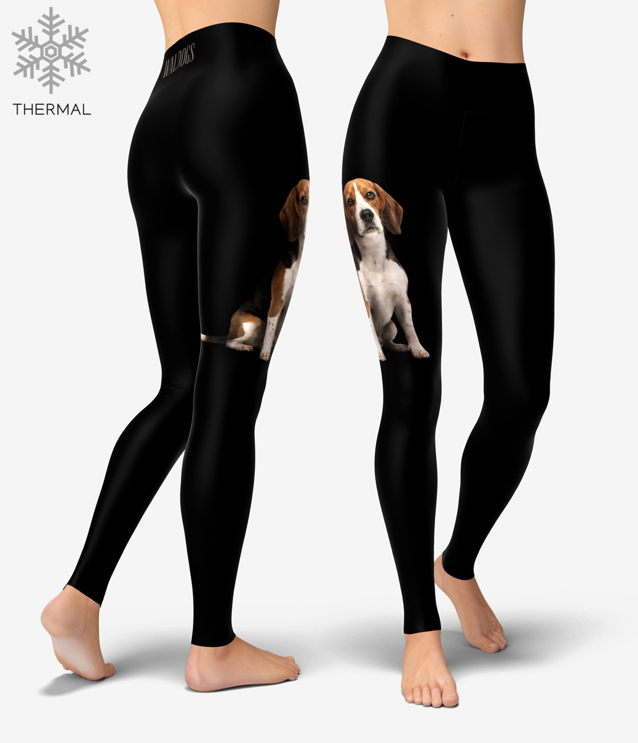 Beagle Black Thermal