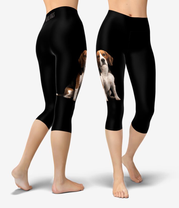 Beagle Black Urheilucaprit