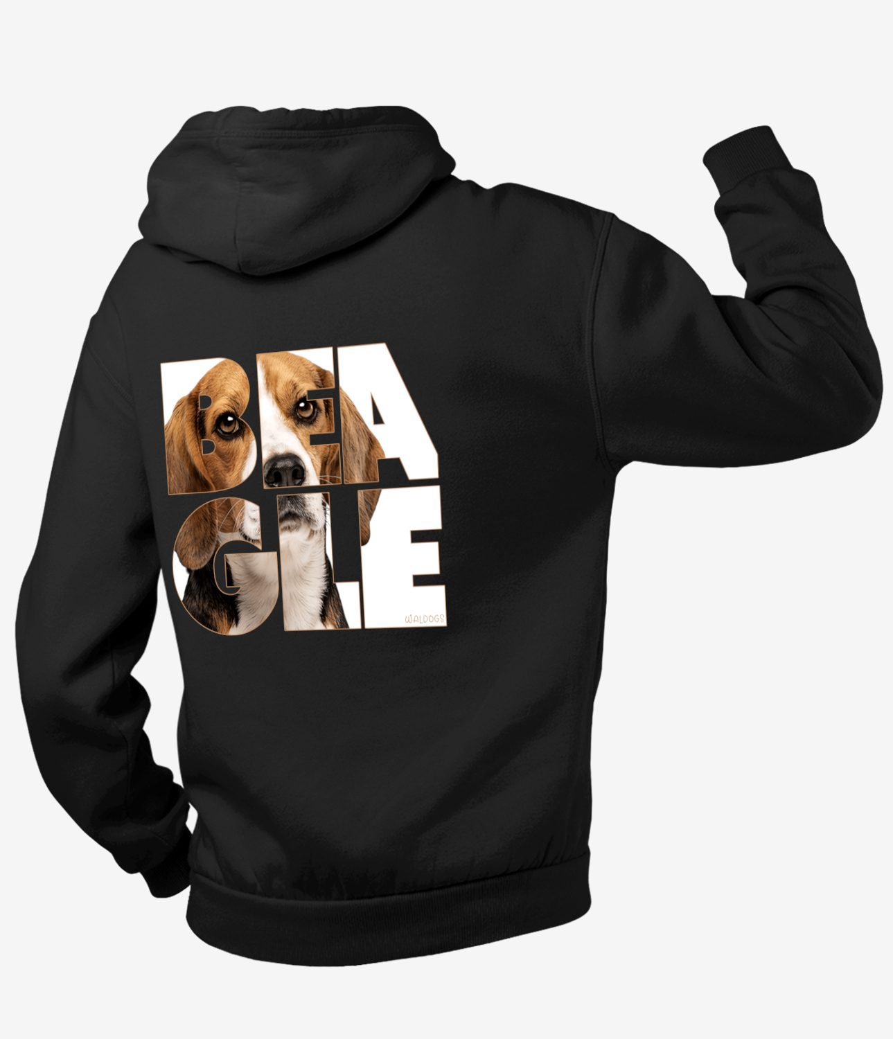 Beagle Nassu Vetoketjuhuppari