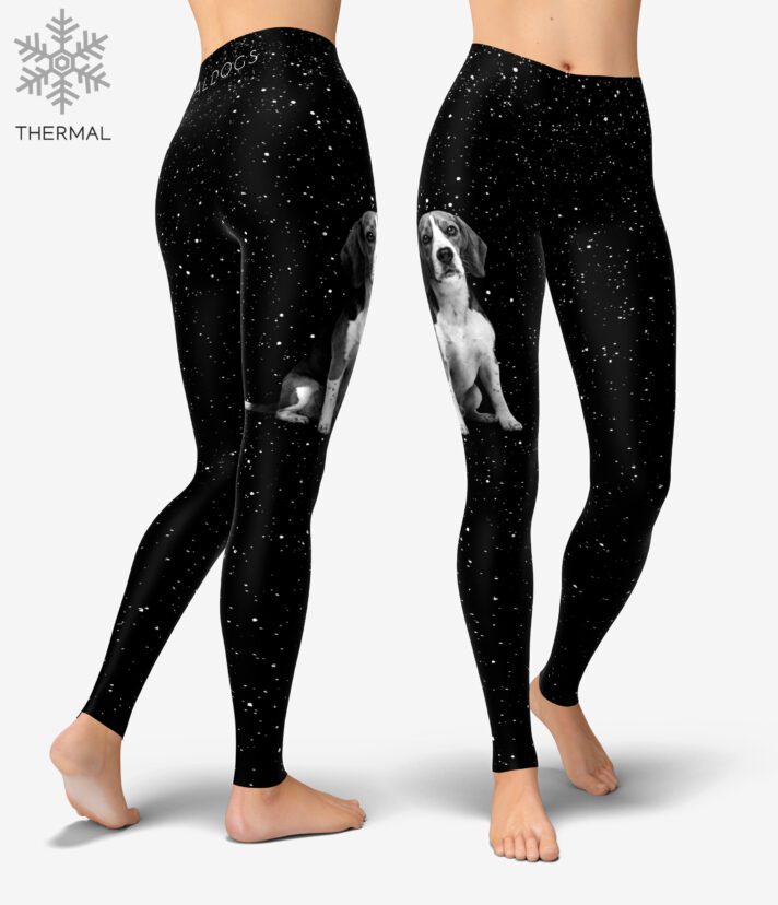 Beagle Stars Thermal