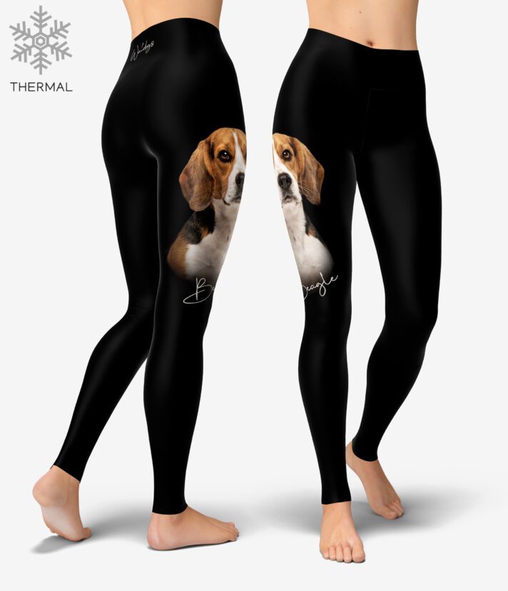 Beagle Thermal