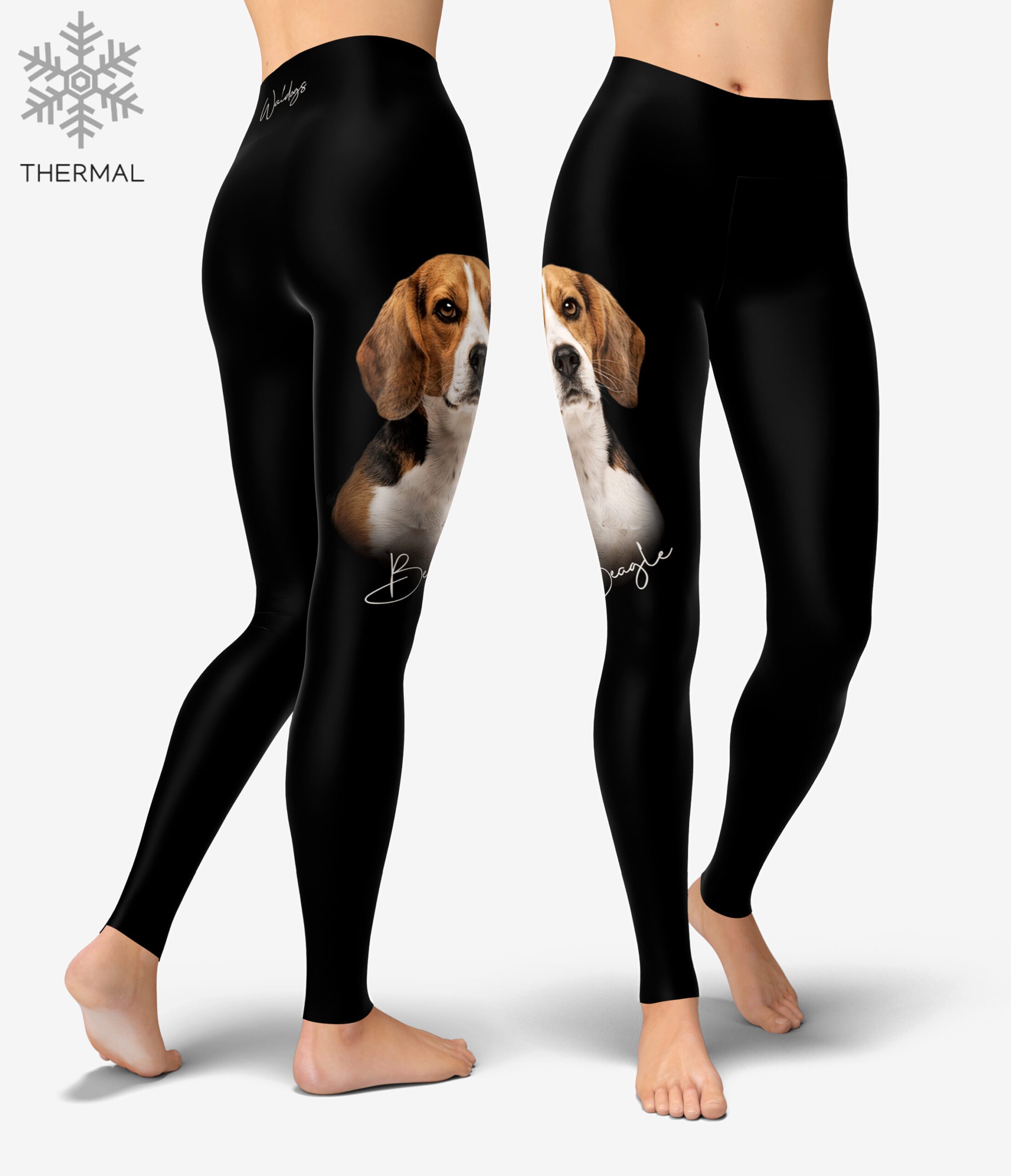 Beagle Thermal