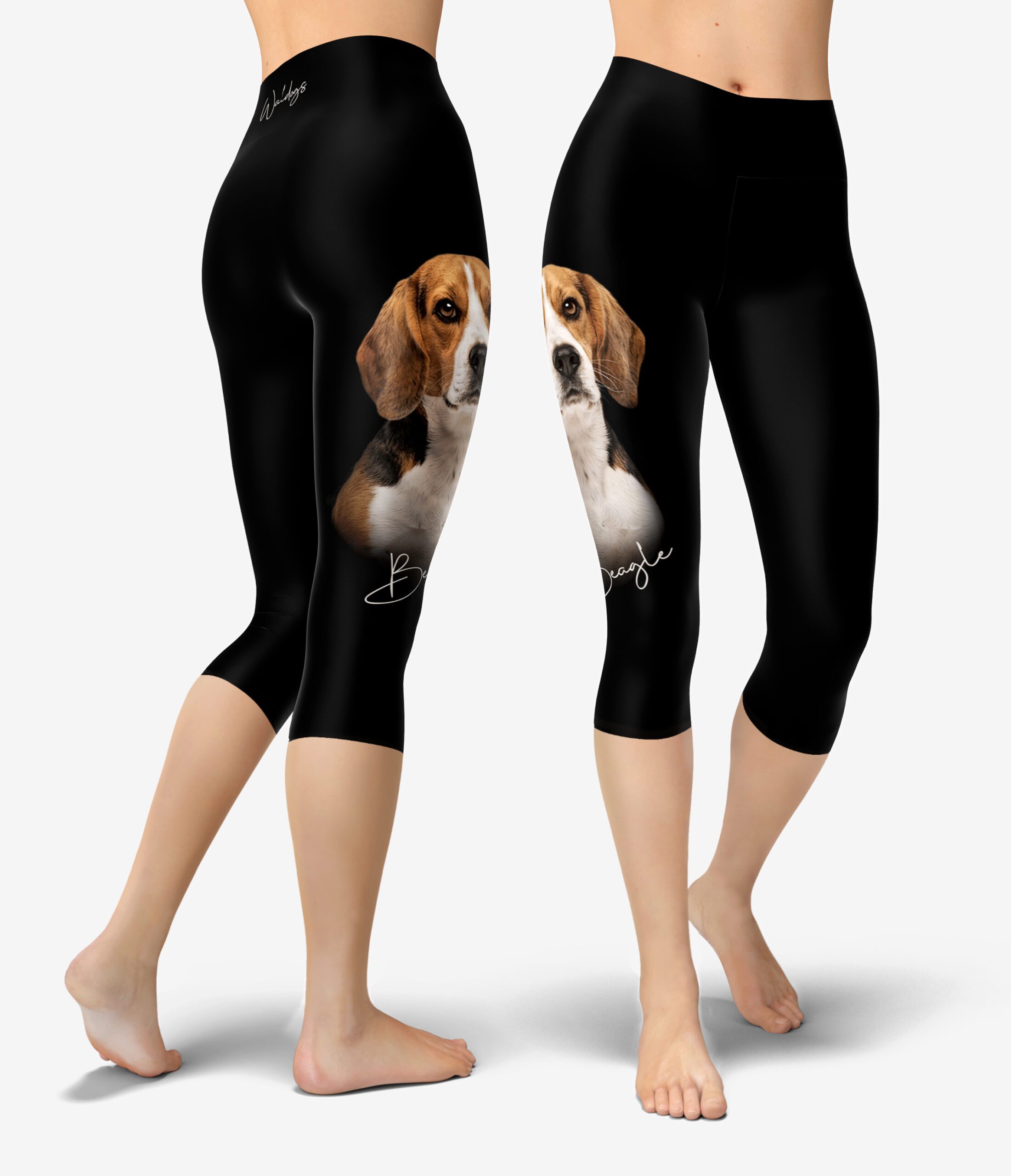 Beagle Urheilucaprit