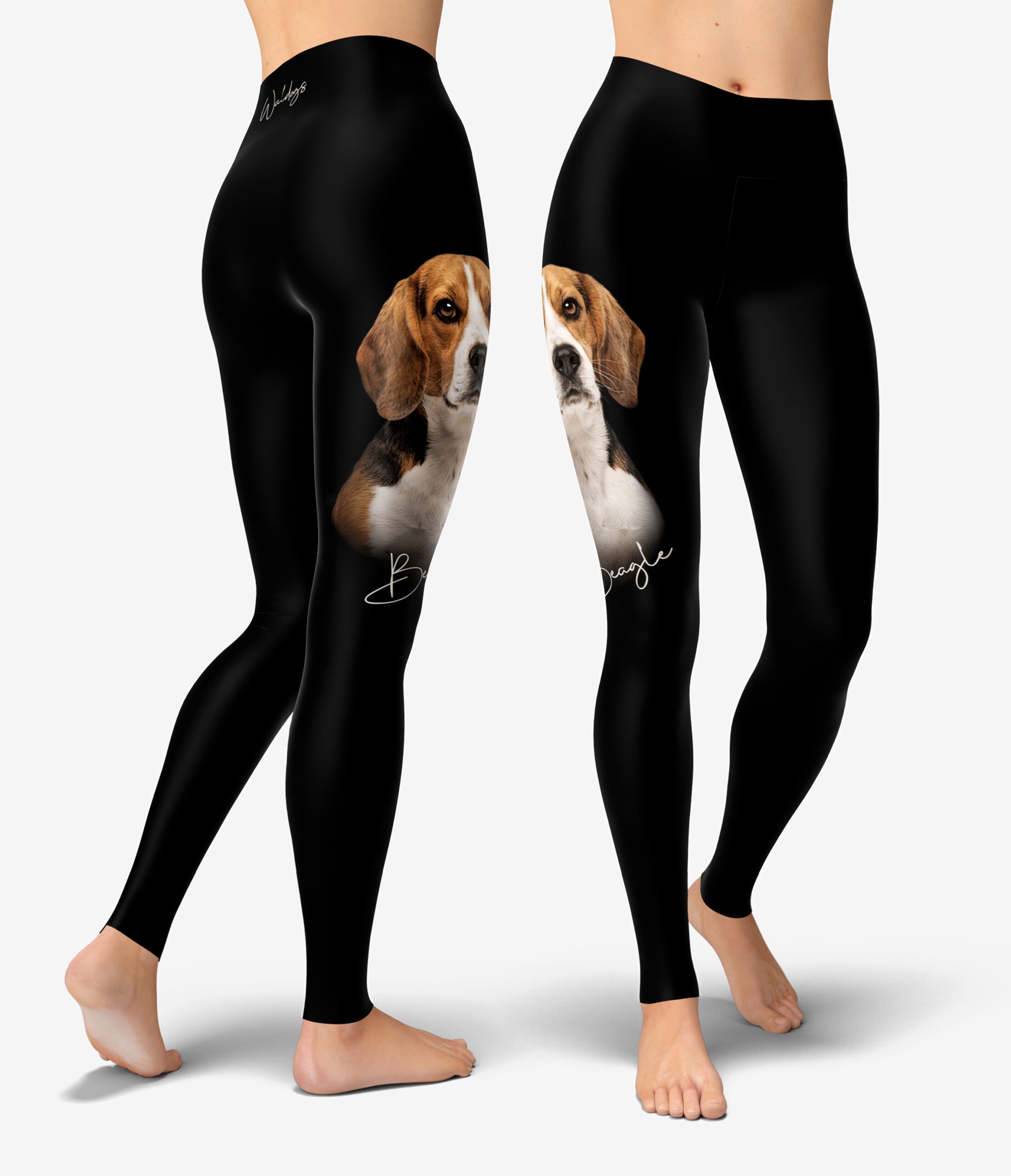Beagle Urheilutrikoot