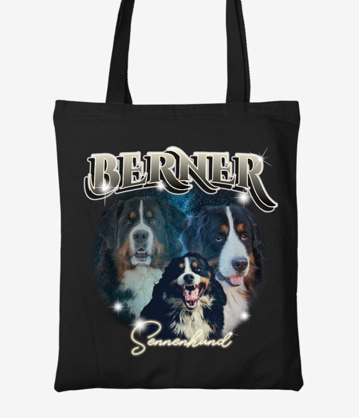 Berner Sennenhund Basic