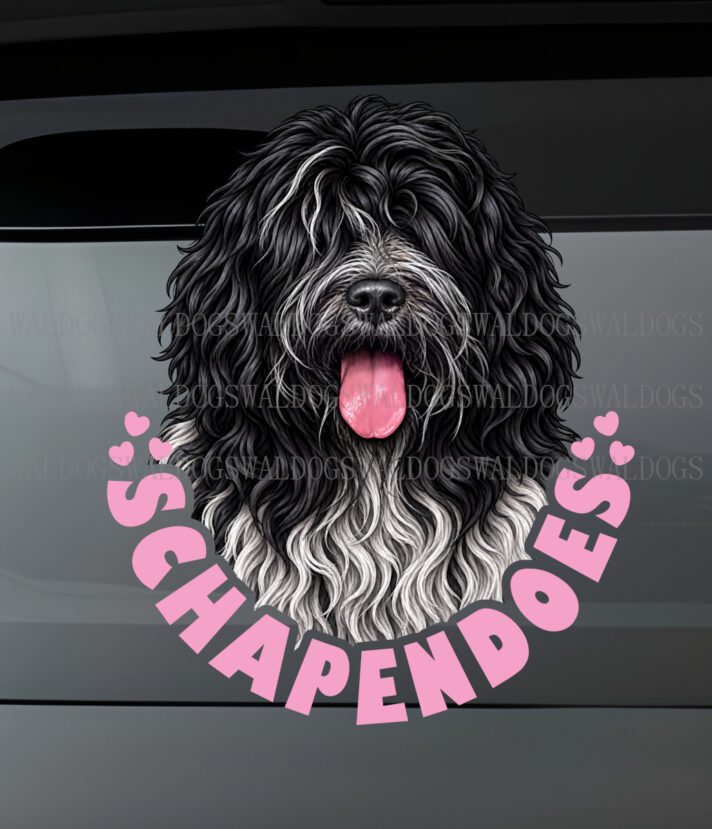 Schapendoes Hearts I Tarra