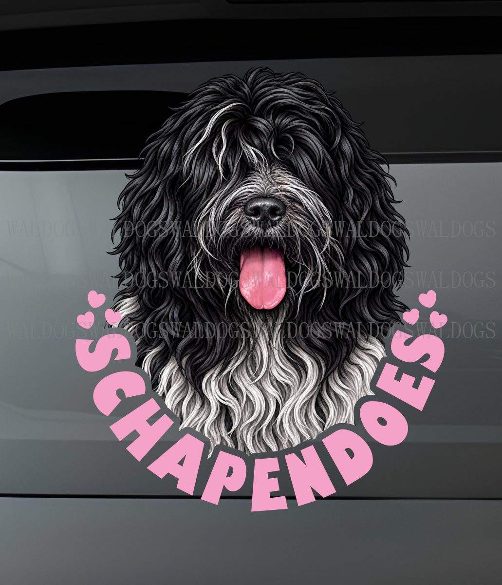 Schapendoes Hearts I Tarra